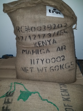 Kenya - Nyeri Othaya Mahiga Lot #2