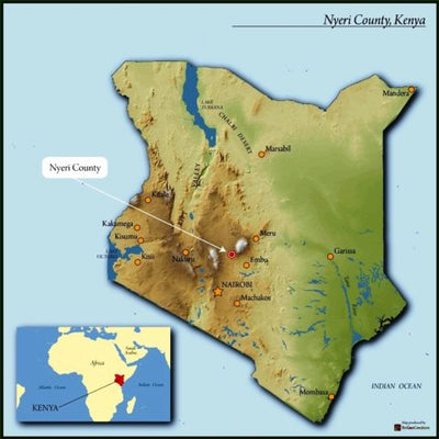 Kenya - Nyeri Othaya Mahiga Lot #2